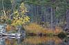 Lake and forrest in Sweden   Sweden Europe  landscapes