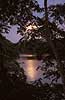 Sundown in rainforrest in Amazonas  Yasuni NP / Amazonas Equador South america  landscapes