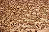 Oued El Leguene  Matmata Tunesia Africa  landscapes