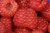  Rubus idaeus    plants fruits food