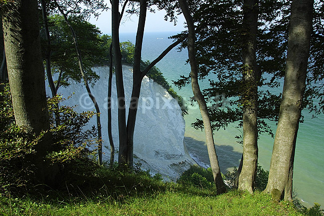 M�ns Klint; ; M�ns Klint / M�n; Danmark; Europa; ; klinter kridt kyster landskaber