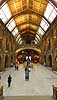   Natural History Museum / London England Europe  