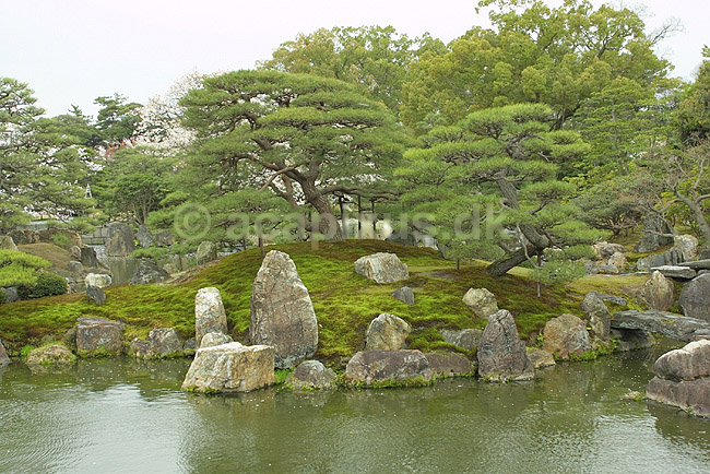 Japansk have. Japansk have ved Nijo-jo borgen; ; Nijo-jo / Kyoto; Japan; Asien; ; haver parker