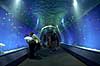   Osaka Aquarium / Osaka Japan Asia  