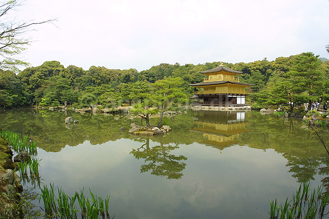 Kinkaku-ji. Den forgyldte pagode ved Kinkaku-ji; ; Kinkaku-ji / Kyoto; Japan; Asien; ; templer
