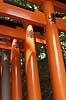   Fushimi-Inari Taisha Shrine / Kyoto Japan Asia  