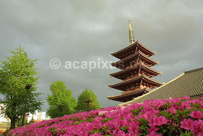 Senso-ji i Tokyo. Pagoden ved Senso-ji templet i Tokyo; ; Senso-ji / Tokyo; Japan; Asien; ; templer buddisme buddhism buddistisk