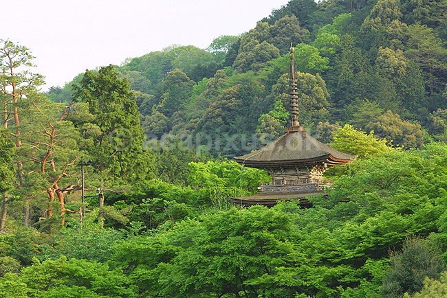 Kiyomizu-dera. Lille pagodebygning ved Kiyomizu-dera templet; ; Kiyomizu-dera / Kyoto; Japan; Asien; ; templer buddisme buddhism buddistisk