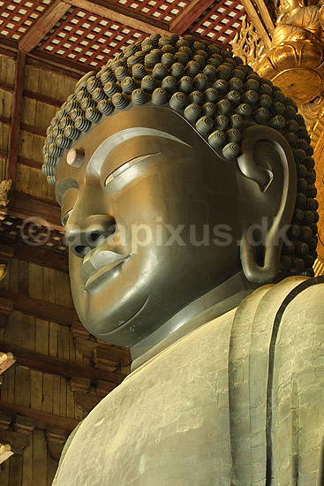 Todai-ji Nara. Buddafigur i Daibutsu-den hall i Todai-ji templet i Nara ; ; Todai-ji / Nara; Japan; Asien; ; templer buddisme buddhism buddistisk
