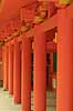   Kasuga-Taisha Shrine / Nara Japan Asia  