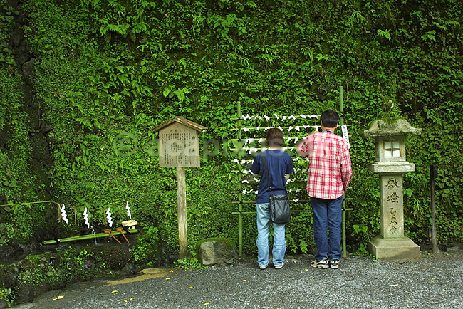 Bedende i tempel. Japanere ops�tter sp�domspapirer i stativ ved tempel i Kibune; ; Kibune; Japan; Asien; ; templer religion