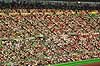 VM i fodbold 2002. Fodboldtilskuere til kamp imellem England og Nigeria ved VM i 2002  Osaka Stadium / Osaka Japan Asien  boldspil