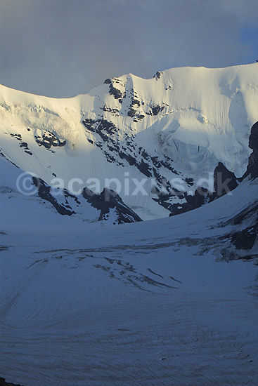Bl�emlisalp. Wyssi Frau (tv, 3650) og Bl�mlisalphorn (th, 3590 m) i Bl�emlisalp ryggen; ; Kandersteg; Schweiz; Europa; ; 