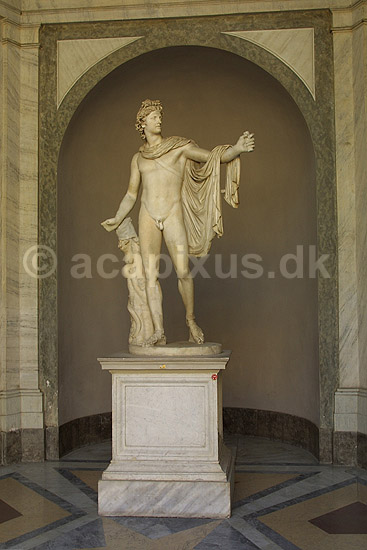 Vatikanmuseet. Statuen Apollo fra Belvedere udstillet i Cortile Ottagono i Vatikanmuseet i Rom; ; Rom; Italien; Europa; ; turistsev�rdigheder, paven, paved�mmet, Vatikanet, Vatikan Staten