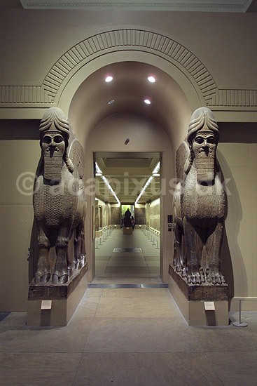 British Museum. Assyriske (ca 865-860 f.kf.) skulpture (winged human-headed bull) fra Nimrud udstillet i The British Museum; ; The British Museum / London; England; ; sev�rdigheder; ark�ologi, Assyrien, Iraq, Irak