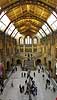   Natural History Museum / London England   sights