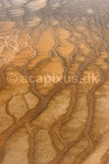 Geyser. Kalkstensaflejringer fra varmt fra Grand Prismatic Spring ved Midway Geyser Basin i Yellowstone NP har dannet kunstneriske m�nstre.; ; Yellowstone National Park / Wyoming; USA; Nord Amerika; ; Geothermisk, geotermisk varme, geysere