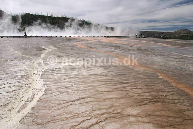 Geyser. Kalkstensaflejringer fra varmt fra Grand Prismatic Spring ved Midway Geyser Basin i Yellowstone NP har dannet kunstneriske m�nstre.; ; Yellowstone National Park / Wyoming; USA; Nord Amerika; ; Geothermisk, geotermisk varme, geysere