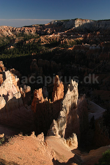 Bryce Canyon National Park. Eroderede sandstensformationer, hoodoos, i Bryce Amphitheater i Bryce Canyon National Park; ; Bryce Canyon National Park / Wyoming; USA; Nord Amerika; ; Bjerge, nationalparker, floder, sandsten, erosion