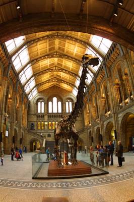Pano02a.jpg (24000 bytes)